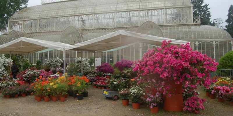 Torna l'attesissima mostra