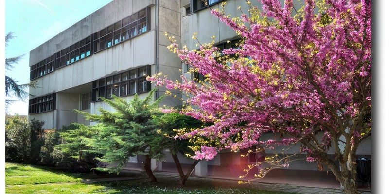 Liceo Scientifico Sportivo Gobetti Volta