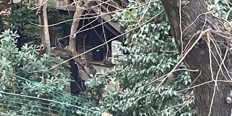 L'occupazione vista dal retro