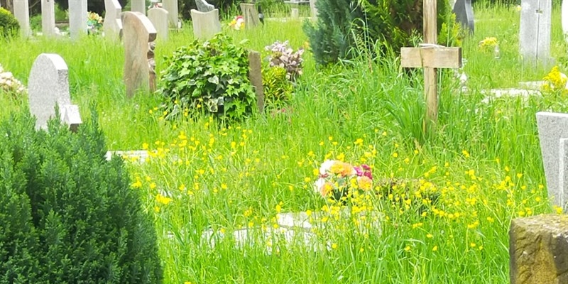 Cimitero Comunale di Borgo San Lorenzo
