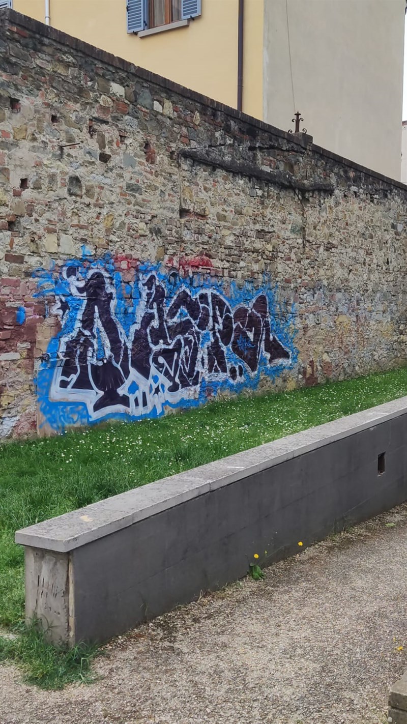 La vandalizzazione