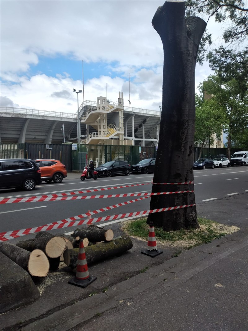 Il cantiere