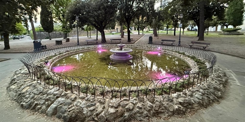 Fontana viola contro la fibromialgia