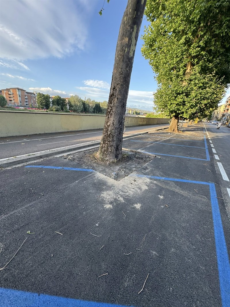 Ora anche le strisce blu