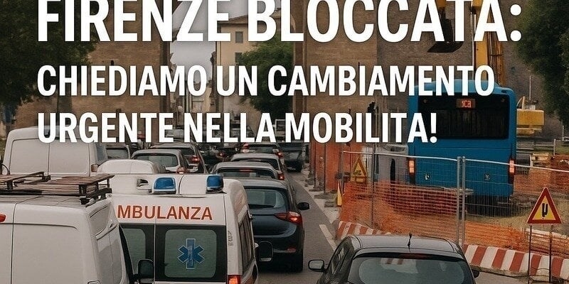 La petizione on line