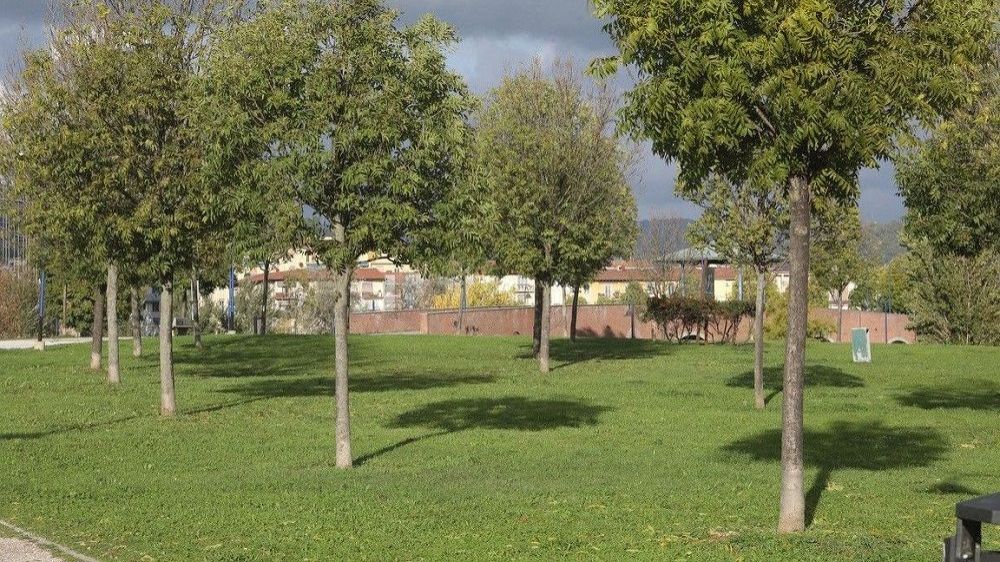 Parco delle Carpugnane