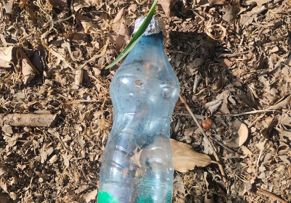 San jacopino 09 aprile 2026(1)