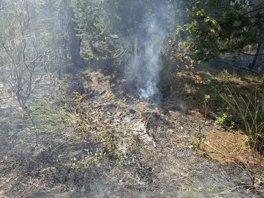 Incendiofiesole