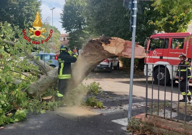 Vigili maltempo 2026 agosto 4(1)
