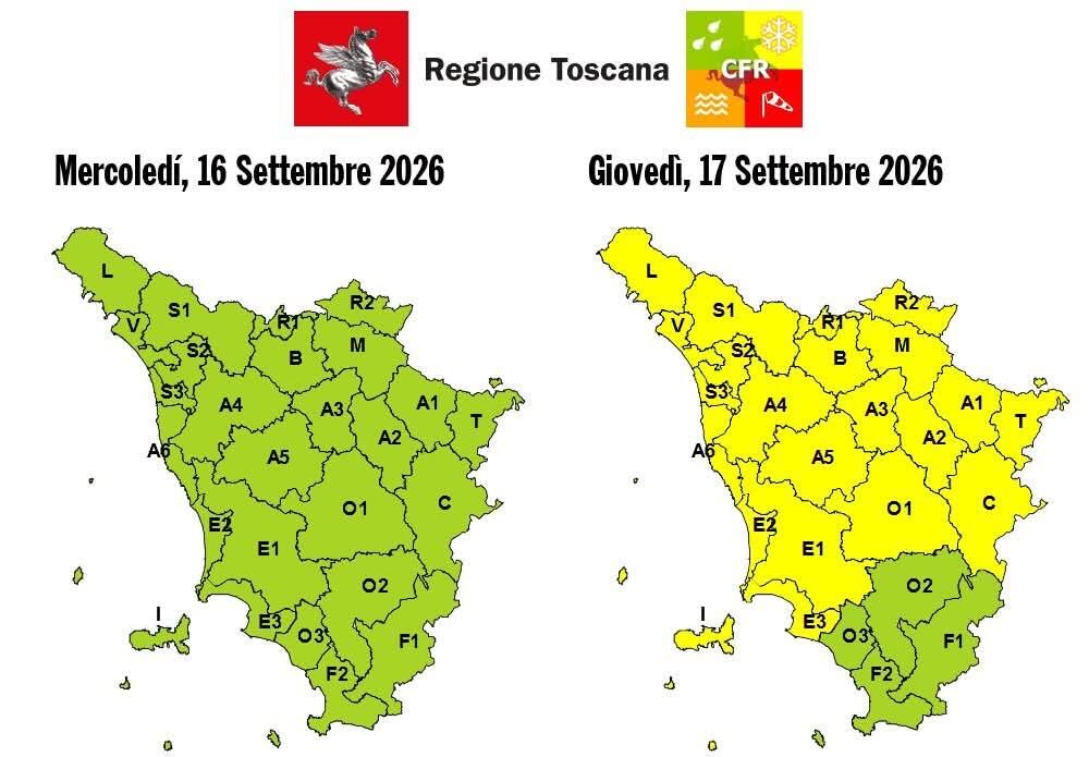 Gialla allerta